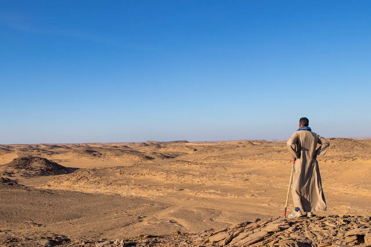 OPEC Oil Output Rises in September - Egypt Oil & Gas